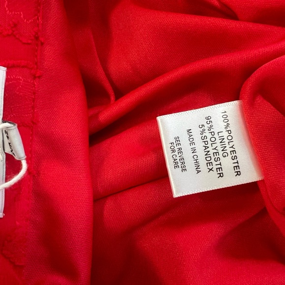 NWT Lucy Paris Red Lace Sheer Two Layer Maxi Skirt, size L - Picture 7 of 8